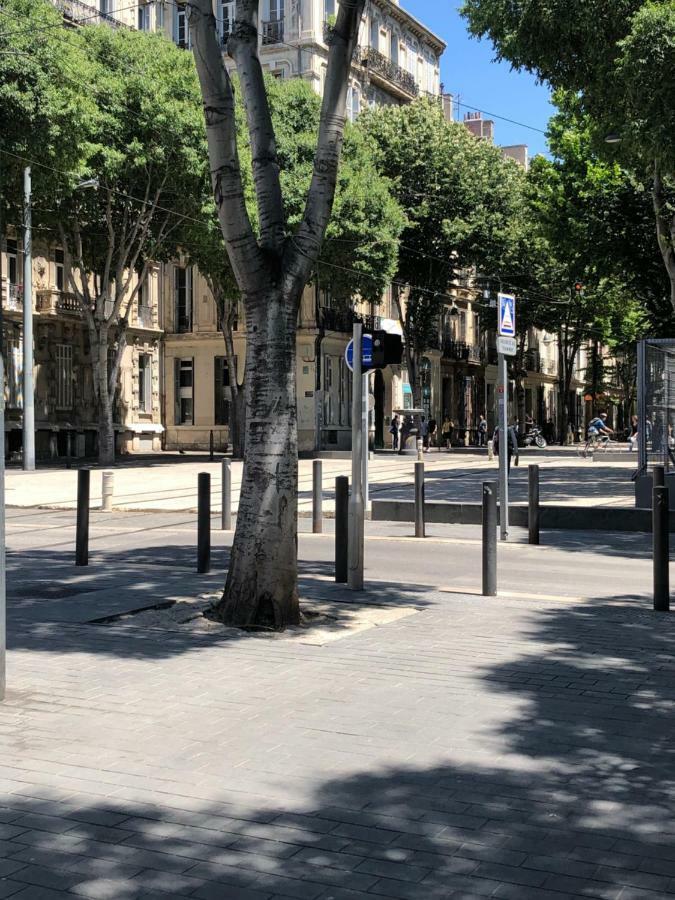 Chic Et Boheme Leilighet Marseille Eksteriør bilde